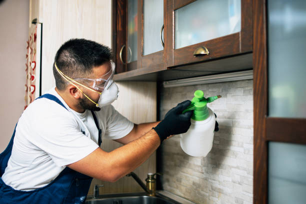 Best Pest Inspection Near Me  in Auburn, ME