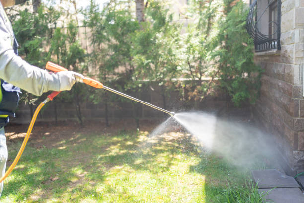 Trusted Auburn, ME Pest Control Experts