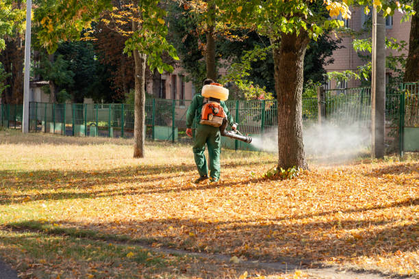 Best Best Pest Control Companies  in Auburn, ME