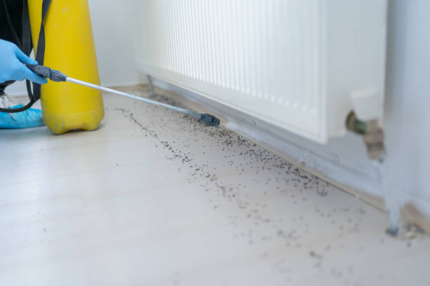 Best Pest Prevention Services  in Auburn, ME