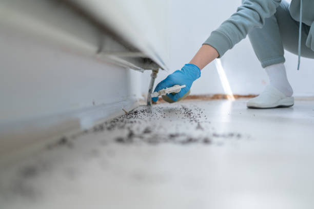 Best Bed Bug Extermination  in Auburn, ME