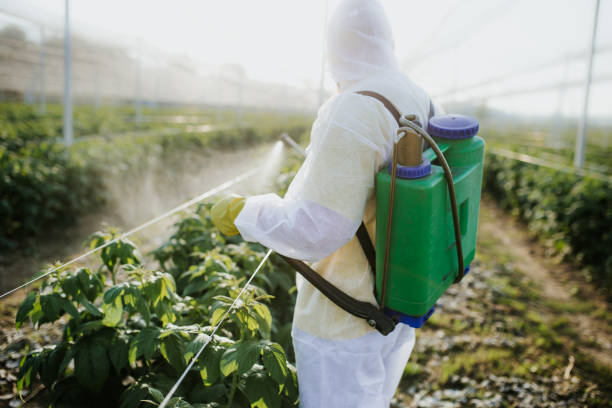 Best Bed Bug Extermination  in Auburn, ME